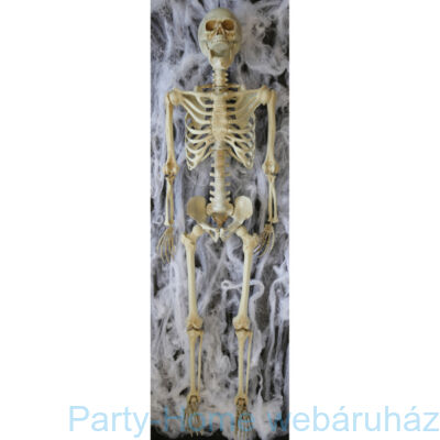 Skeleton - Csontváz Dekoráció 35 cm.
